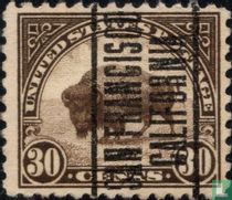 Bison d'Amérique du Nord