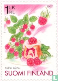 Framboises acheter