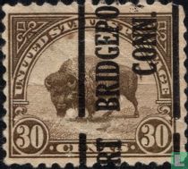 Bison d'Amérique du Nord