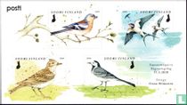 Migratory birds for sale