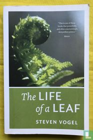 The life of a leaf