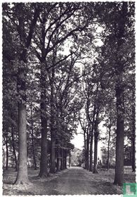Dreef Park Ekeren