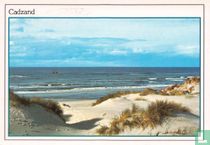 Cadzand duinen, strand en zee (91)