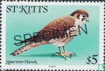 Oiseaux 
