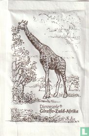 Giraffe - Zuid-Afrika