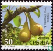 Pears for sale