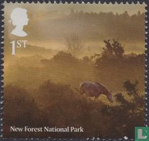 New Forest National Park