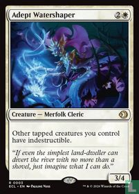 Adept Watershaper
