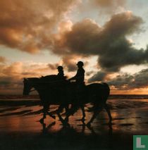Paarden op het strand