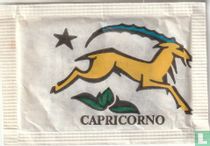 Capricorno