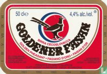 Goldener Fasan