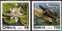 Europa - Onderwaterfauna en -flora kopen