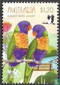 Le recensement des oiseaux en Australie, un projet annuel de science citoyenne