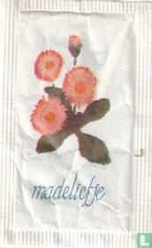 Madeliefje