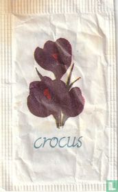 Crocus