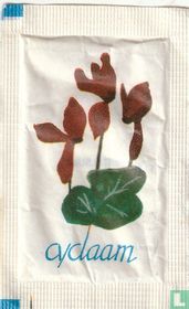Cyclaam