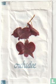 Orchidee