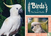  Les oiseaux du Pacifique Sud 