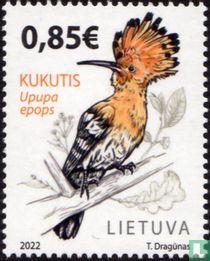 Hoopoe