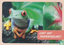 mea meine apotheke "Lust Auf Tropenfeeling?"