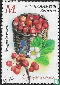 Woodland Strawberries