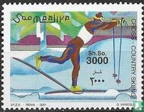 Cross-Country Skiing 
