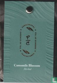 Camomile Blossom