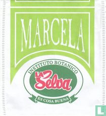 Marcela