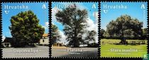 Trees
