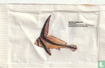 Equetus Lanceolatus