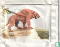 Smilodon