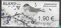 Songbirds