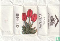 Tulipes