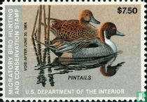 Mallard
