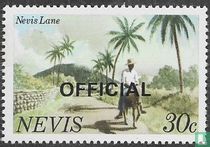 Street in Nevis