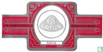 Lotus kaufen