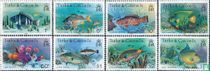 Fische, Jahrgang 1981