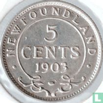 Newfoundland 5 cent 1903