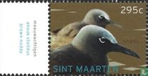 Les oiseaux