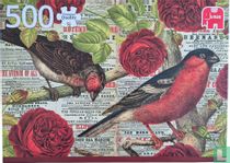 Birds love Flowers