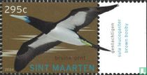 Les oiseaux
