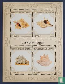 Shells