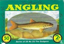 Gudgeon,The