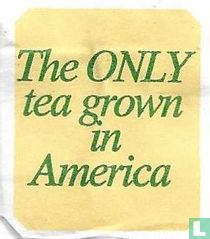 The Only tea grown in America