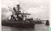 Schiedam, Haven