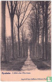 L'Allée des Charmes