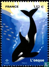 The killer whale