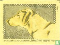  "Russische hond" - ?OH?A? -