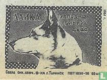  "Eskimo hond" "Laika" - ?A?KA