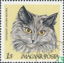 Chats